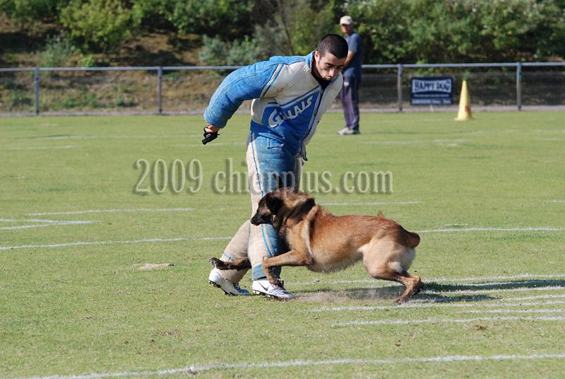 3 EME SELECTIF 2009 GRANDE SYNTHE 372.jpg